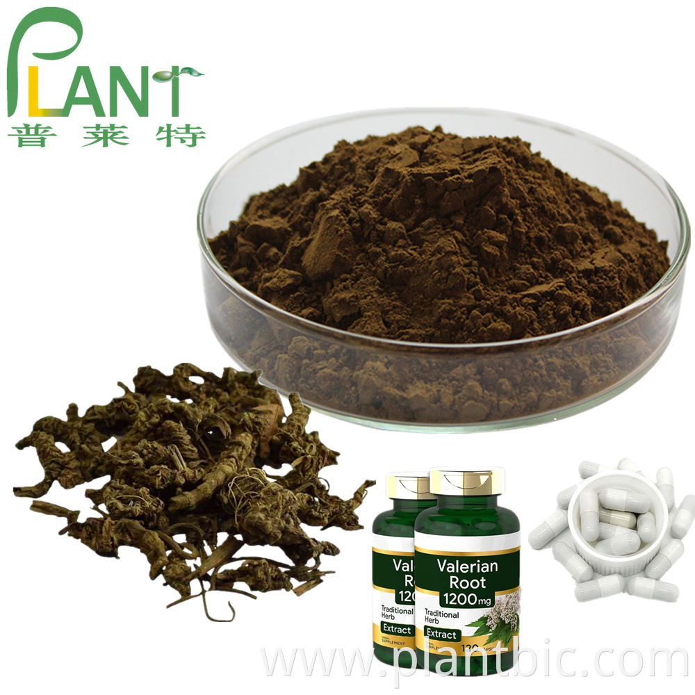 Valerian Extract